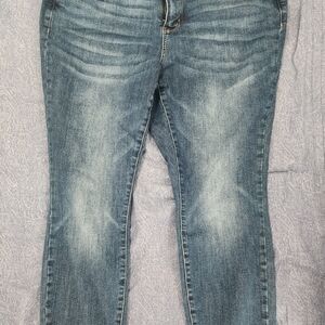 Judy Blue Classic Denim Skinny Jeans